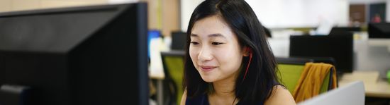 Advertising API Developer - Conversions API Bundle